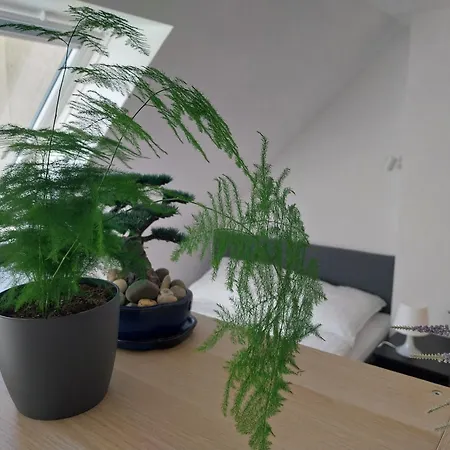 Klimatisiertes Mit Balkon * Neustadt an der Weinstraße