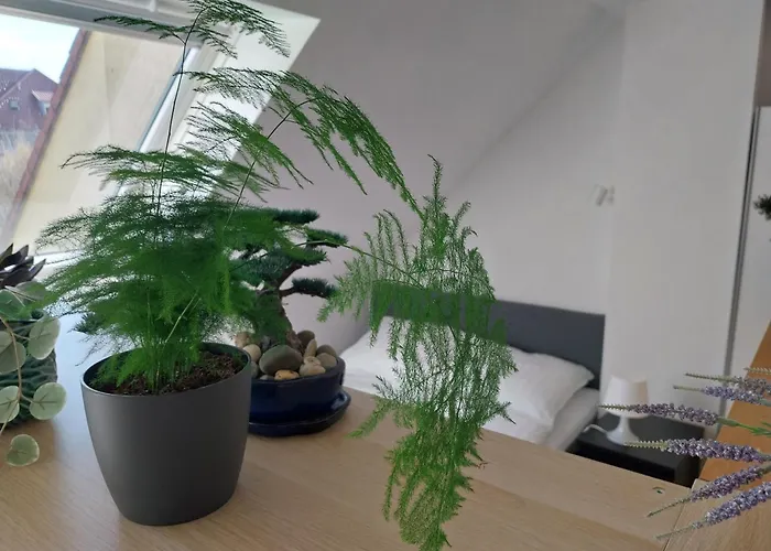 Klimatisiertes Mit Balkon * Neustadt an der Weinstraße